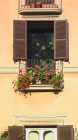 thumbs/a-imga0821.png