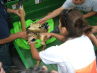 thumbs/dscf0093.png