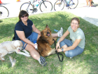 thumbs/dscf0096.png